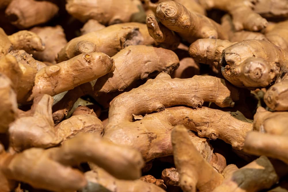 Dried ginger root